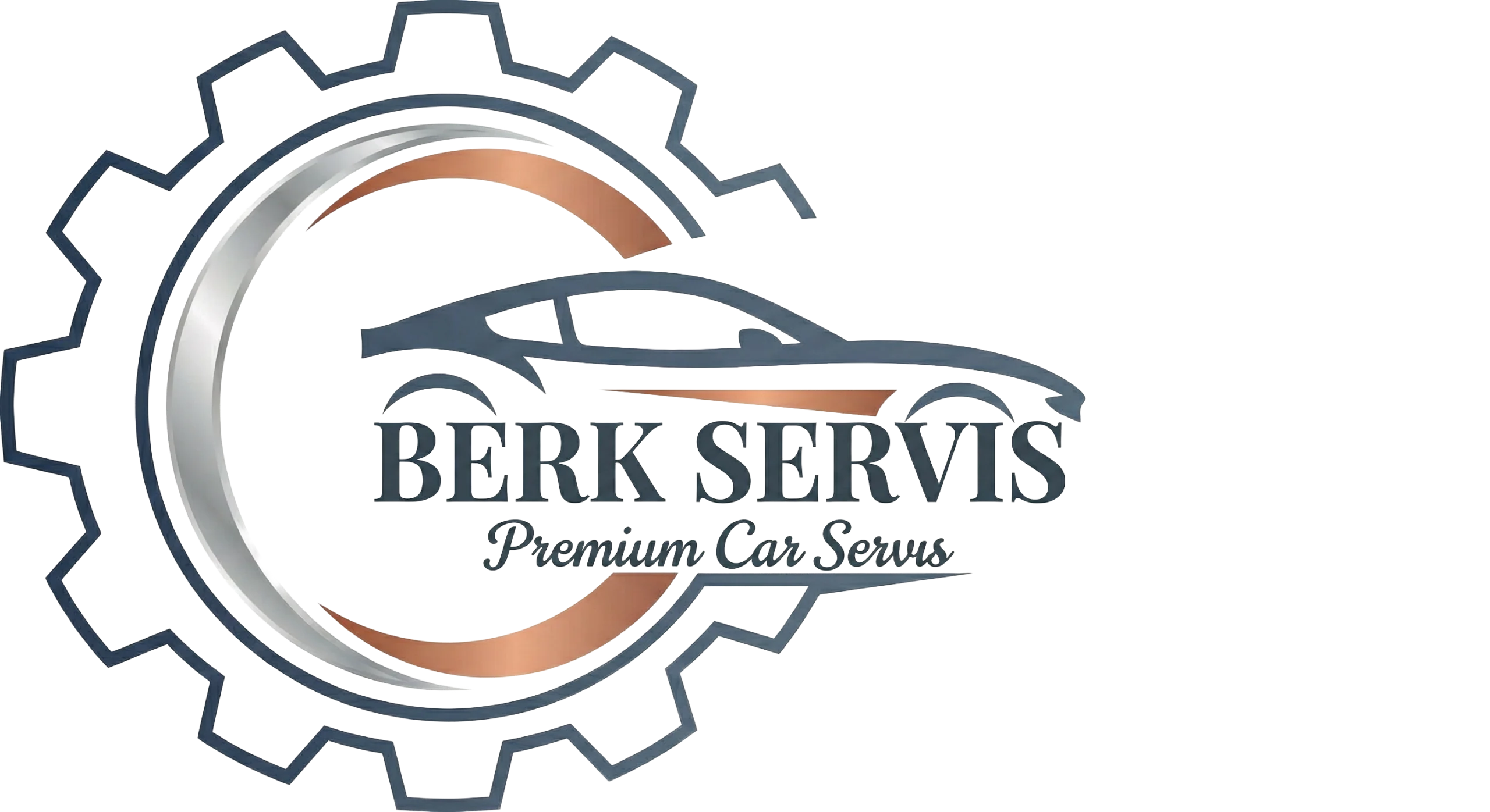 BerkServis